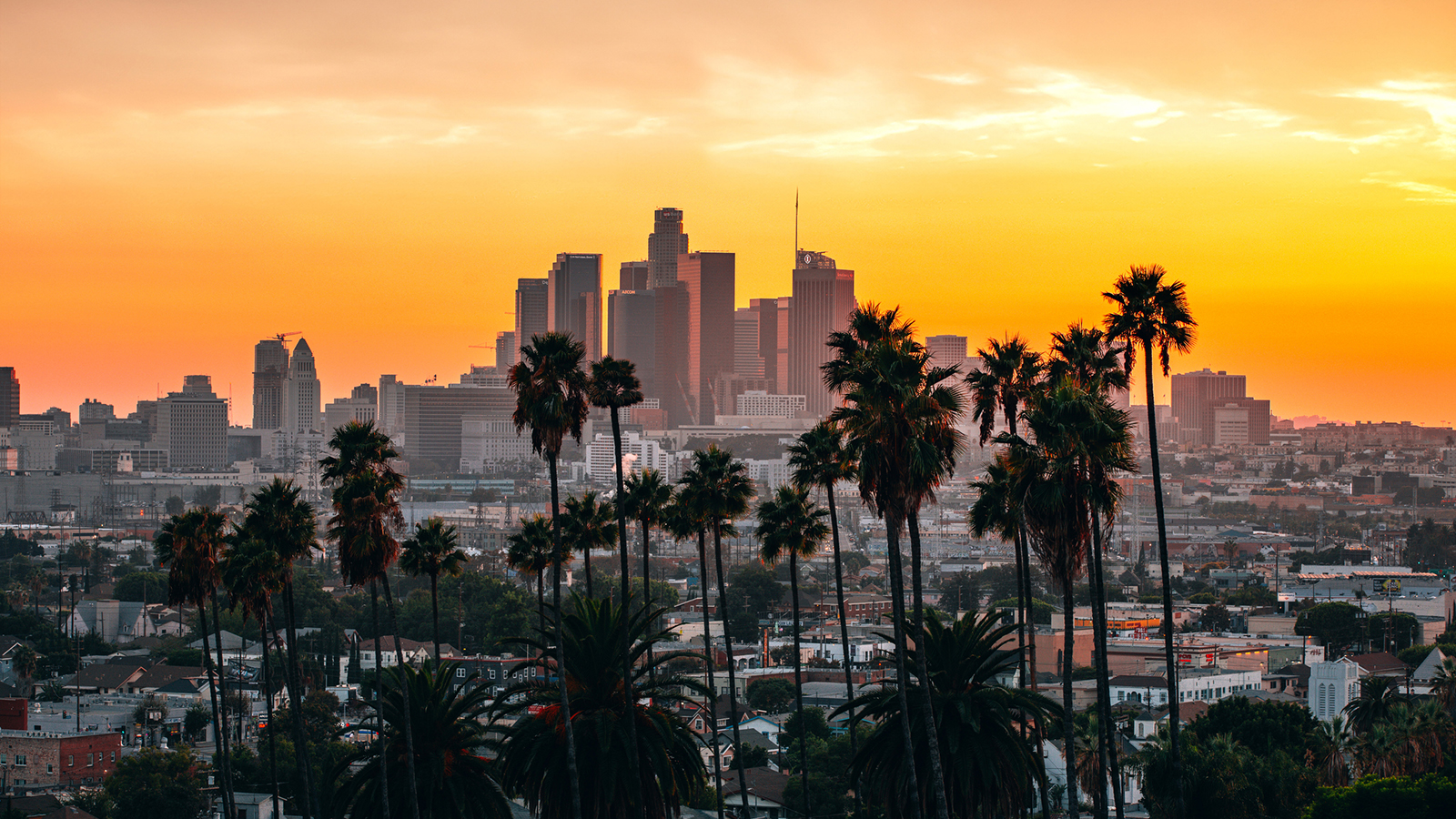 OCD Treatment in California