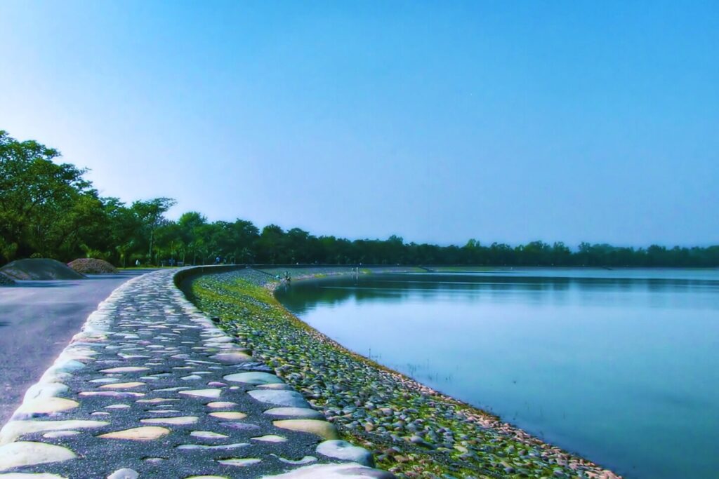 OCD Treatment in Chandigarh