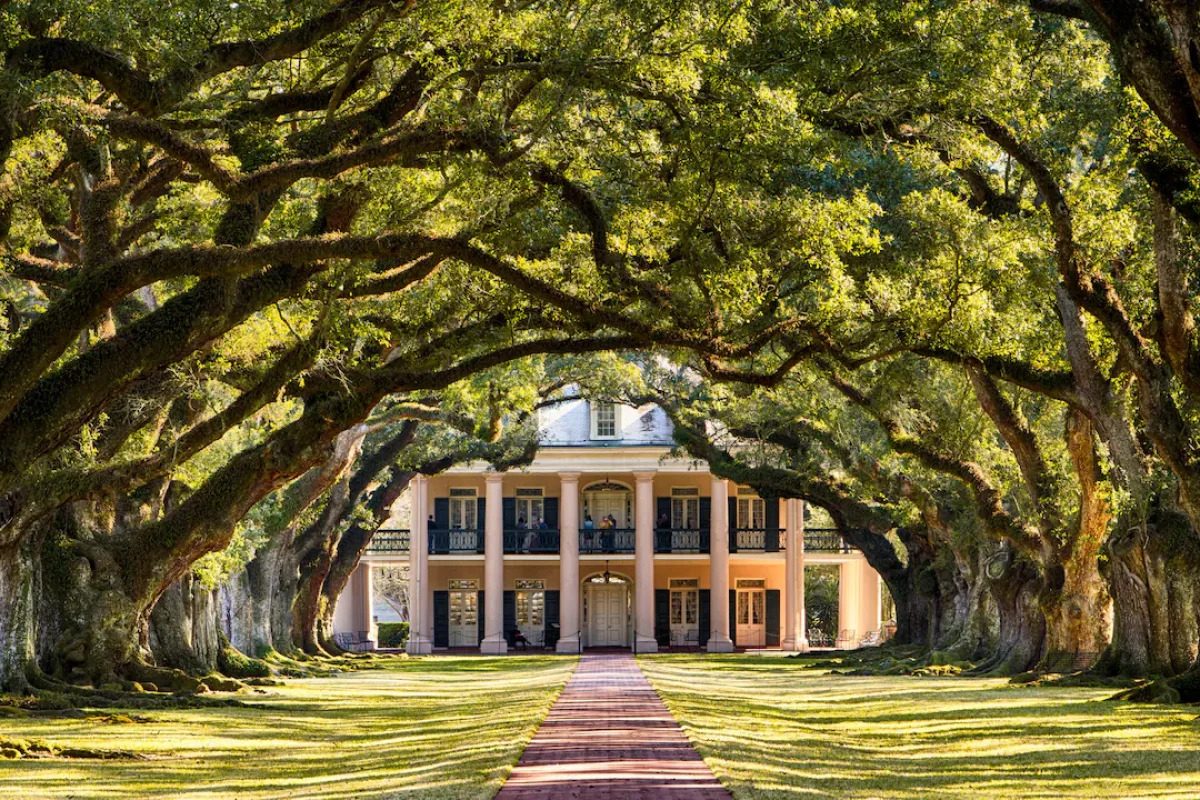 OCD Treatment in Louisiana