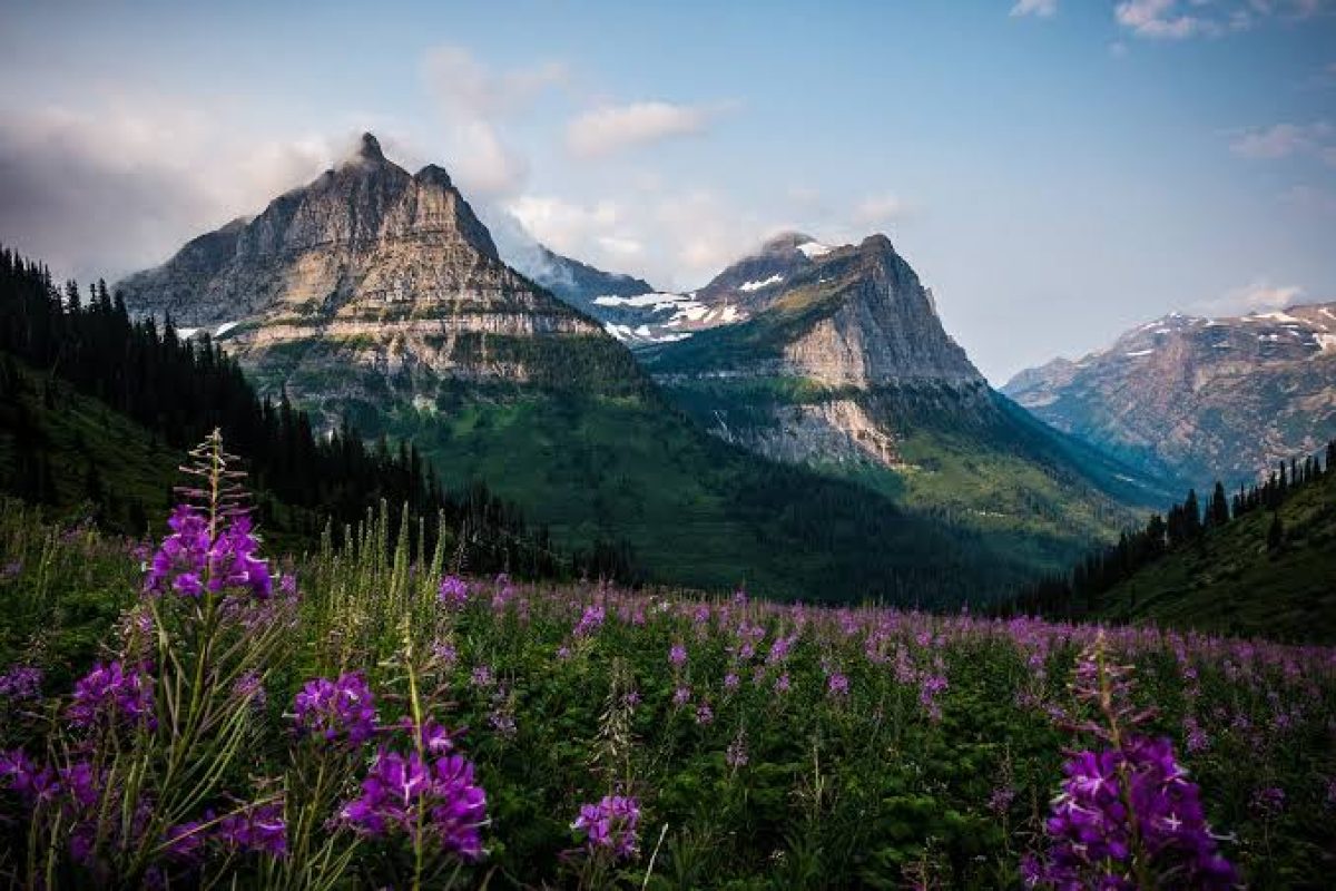 OCD Treatment in Montana