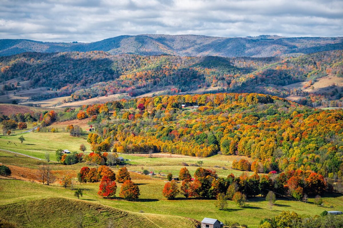 OCD Treatment in Virginia